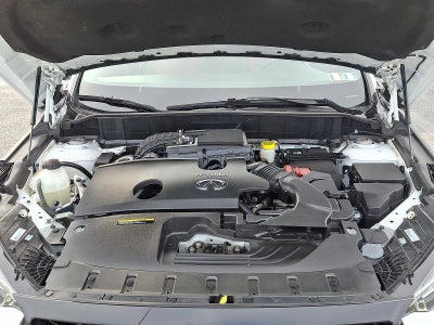 2024 INFINITI QX50 SPORT AWD