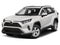 2020 Toyota RAV4 XLE Premium AWD (Natl)