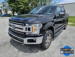 2019 Ford F-150 XLT 4WD SuperCrew 5.5' Box