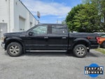 2019 Ford F-150 XLT 4WD SuperCrew 5.5' Box