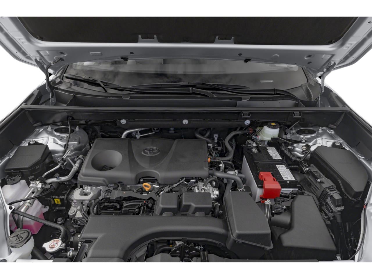 2024 Toyota RAV4 XLE AWD (Natl)