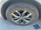 2023 Volkswagen Tiguan 2.0T SE 4MOTION