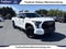 2023 Toyota Tundra 4WD 4WD TRD Pro Hybrid CrewMax 5.5' Bed (Natl)