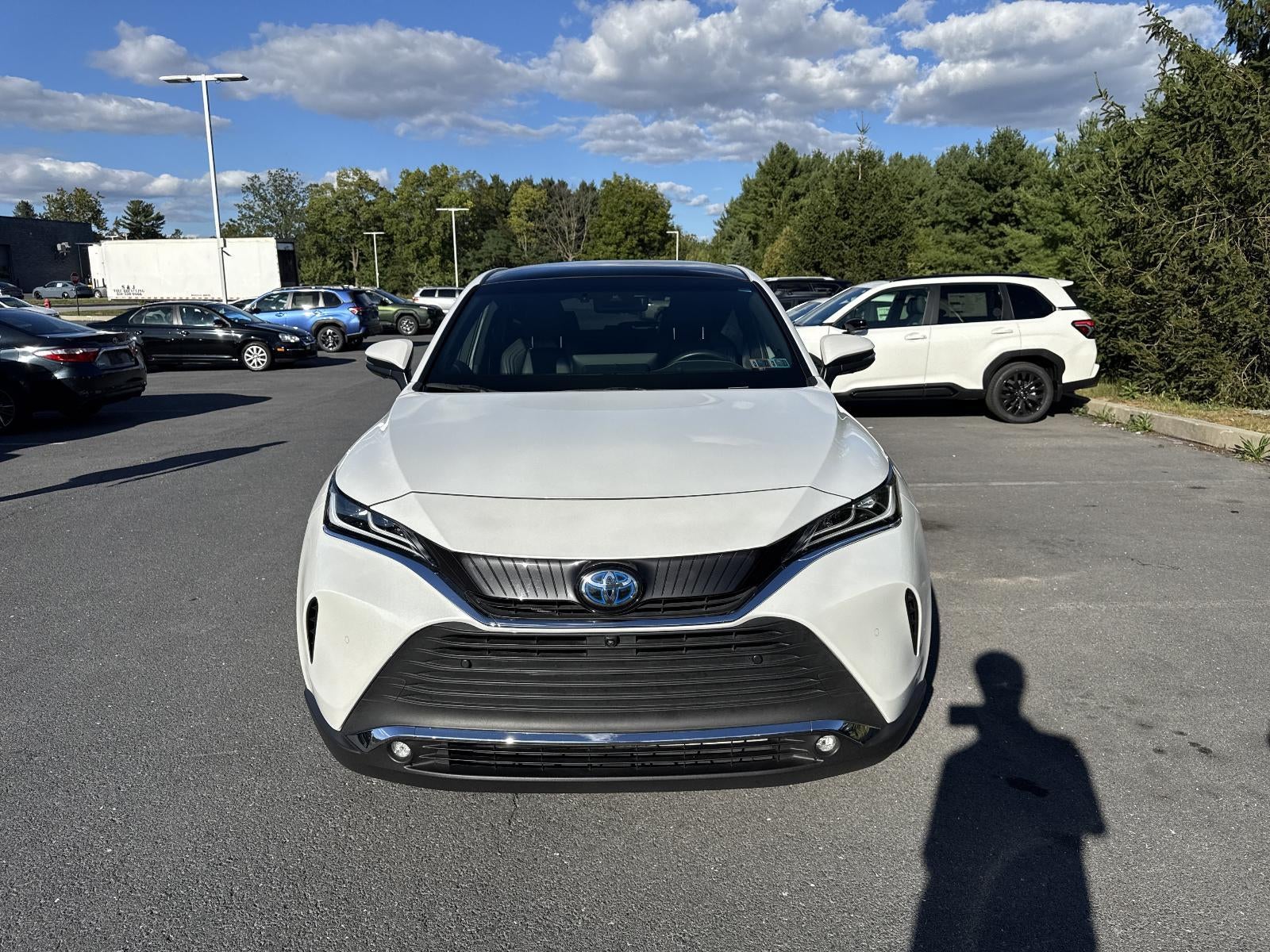 2023 Toyota Venza Limited AWD (GS)