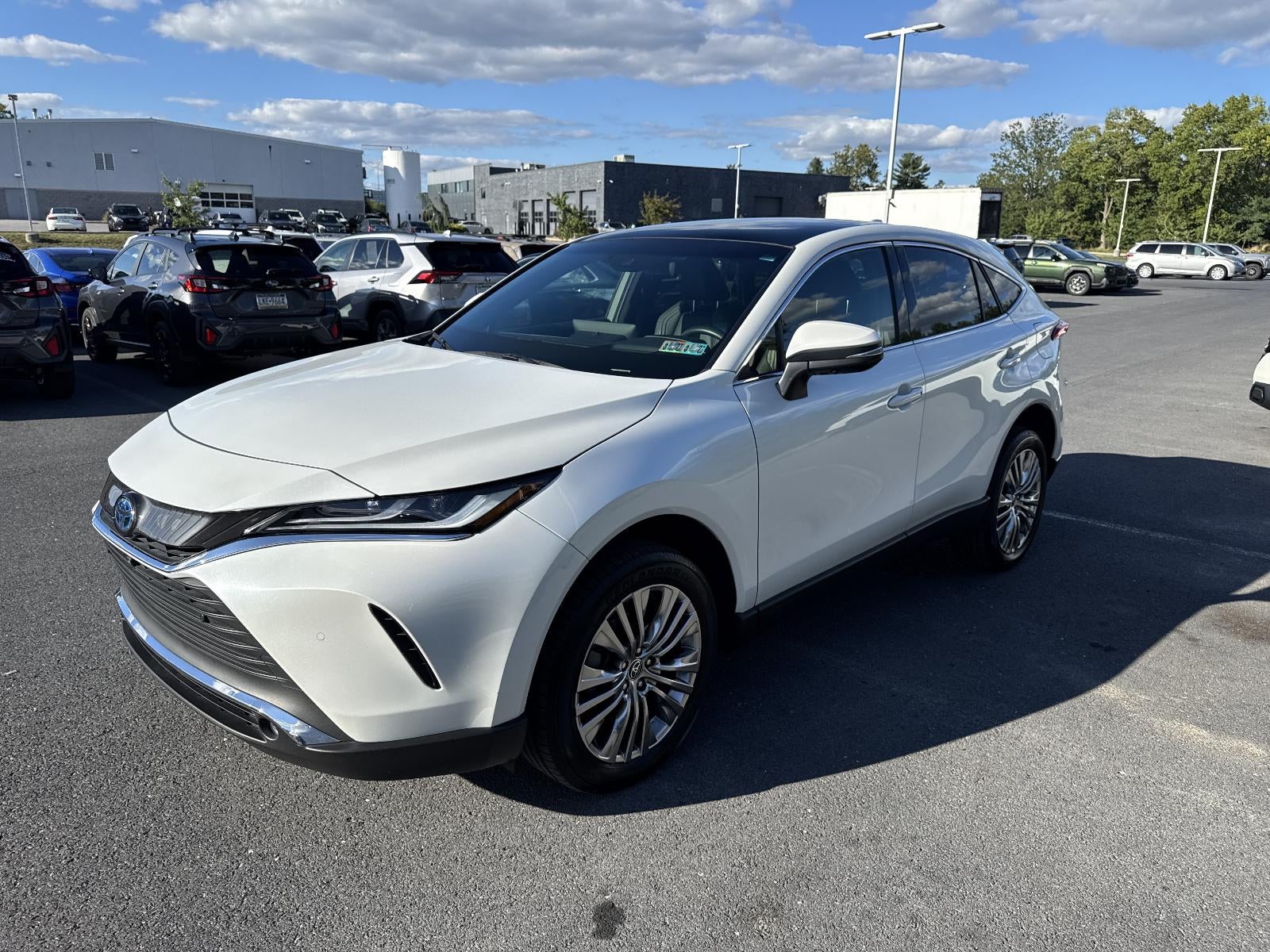 2023 Toyota Venza Limited AWD (GS)