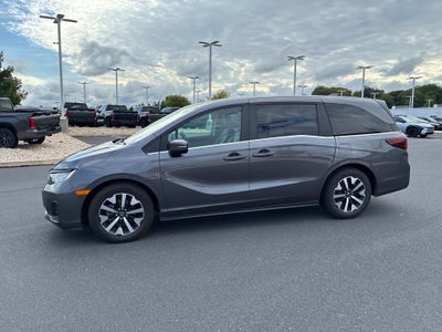 2025 Honda Odyssey EX-L