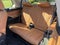 2022 BMW X7 xDrive40i Sports Activity Vehicle