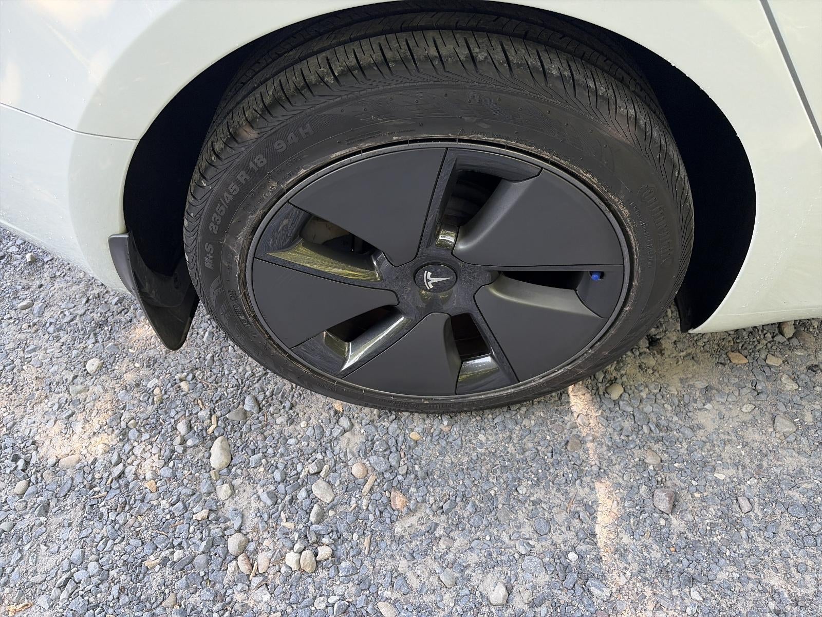 2023 Tesla Model 3 RWD