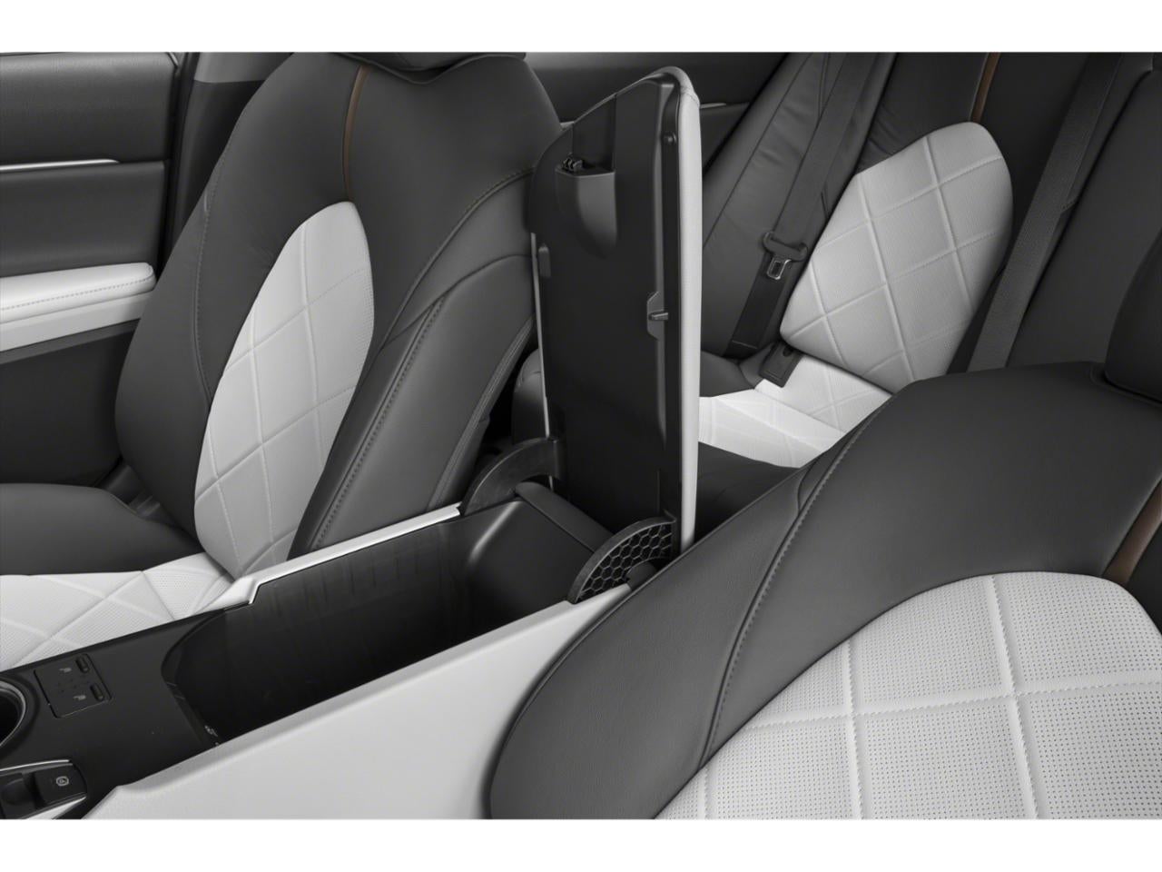 2019 Toyota Camry XLE Auto (SE)