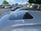 2024 Mazda Mazda CX-5 2.5 S Carbon Edition AWD
