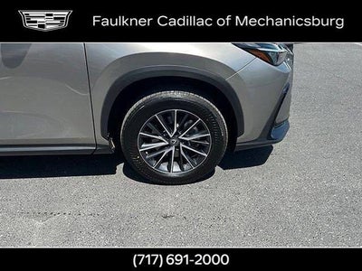 2023 Lexus NX NX 350 Premium