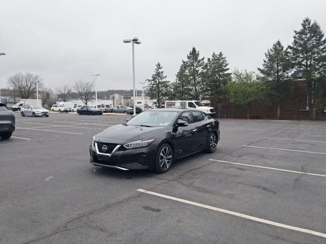2023 Nissan Maxima SV CVT