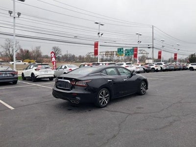 2023 Nissan Maxima SV CVT