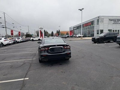 2023 Nissan Maxima SV CVT