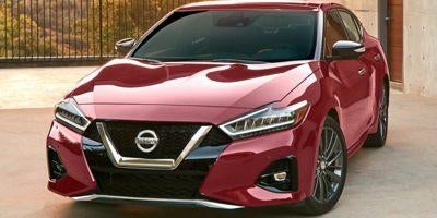2023 Nissan Maxima SV CVT