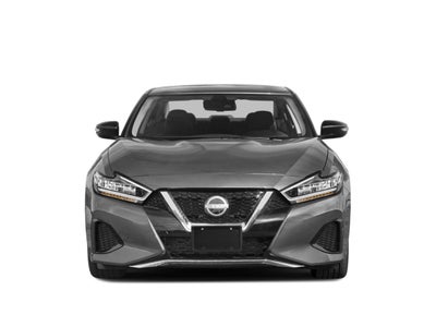 2023 Nissan Maxima SV CVT