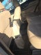 2016 Nissan Rogue AWD 4dr SL