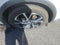 2019 Toyota C-HR XLE FWD (Natl)
