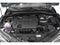 2019 Toyota C-HR XLE FWD (Natl)